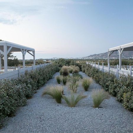 Olives Rocks Naxian Villas Agia Anna  外观 照片