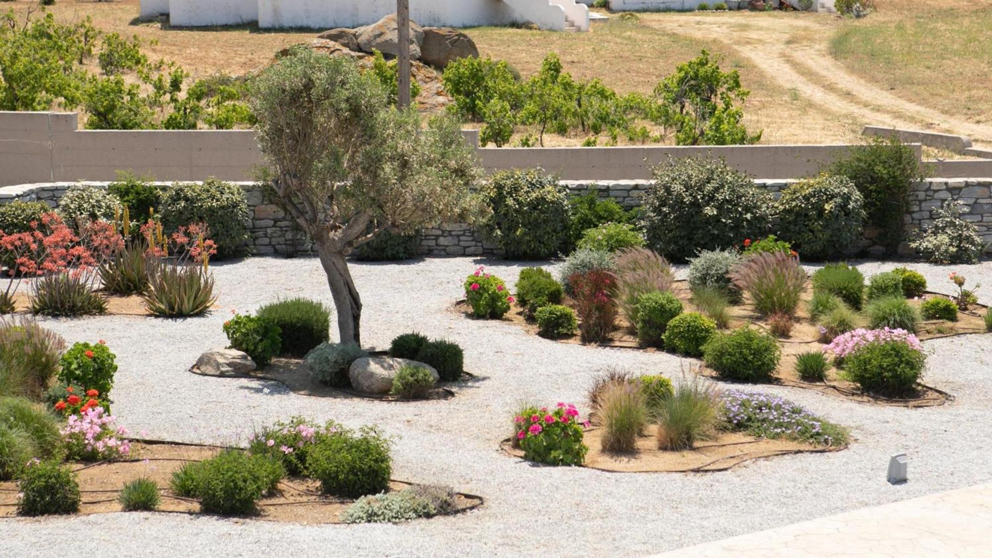 Olives Rocks Naxian Villas Agia Anna  外观 照片