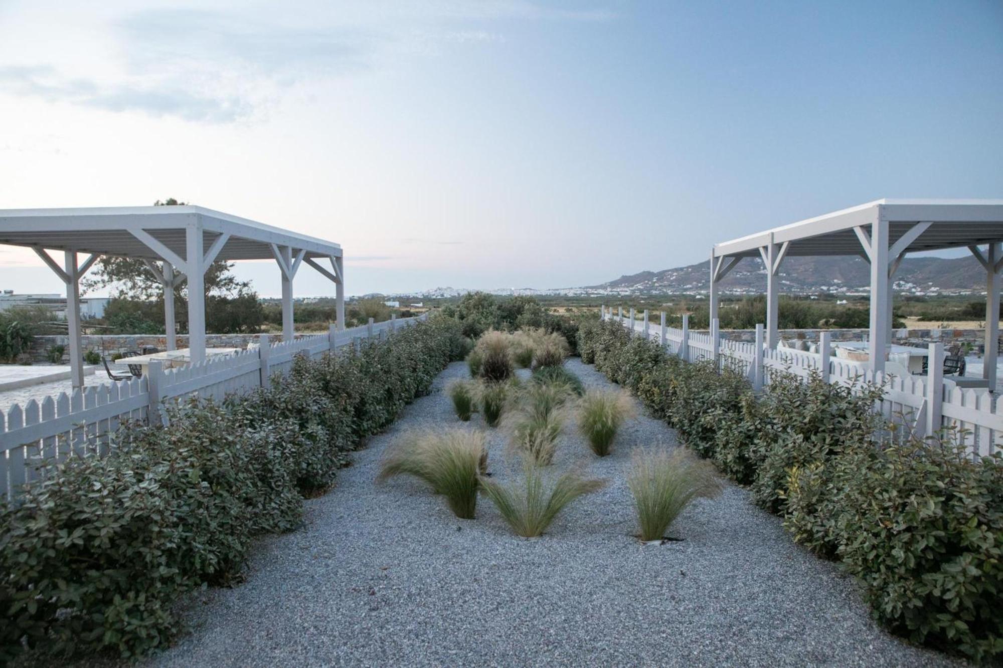 Olives Rocks Naxian Villas Agia Anna  外观 照片
